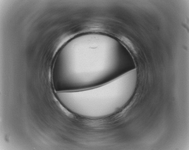 X0000095901420200801110755