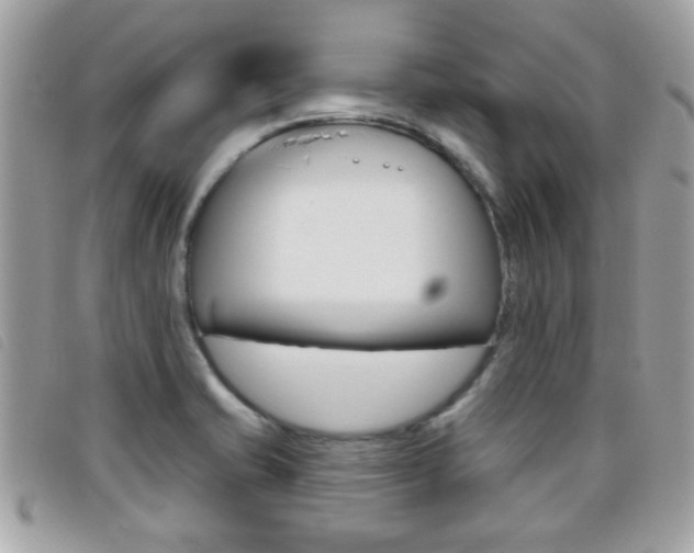 X0000095901421200801110755