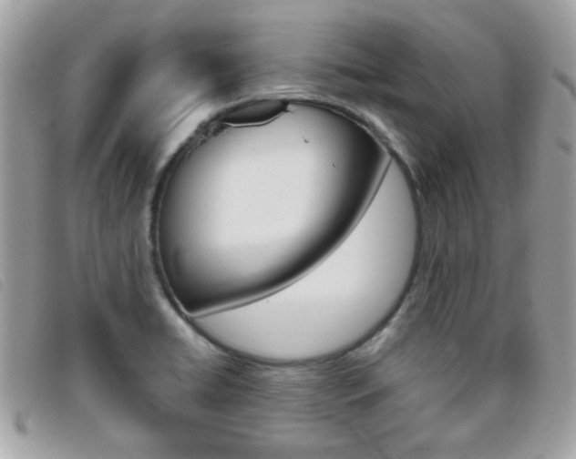 X0000095901422200801110755