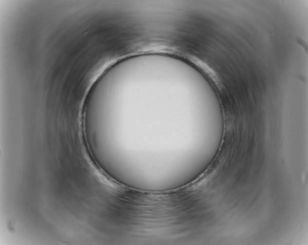 X0000095901423200801110755
