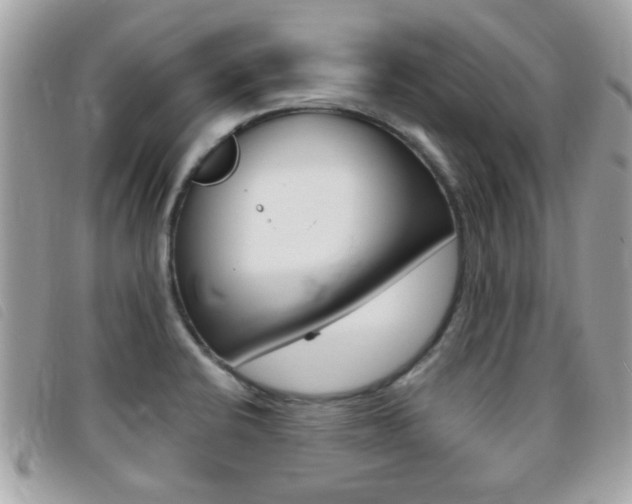 X0000095901424200801110755