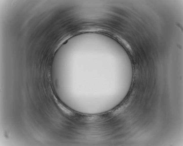 X0000095901425200801110755