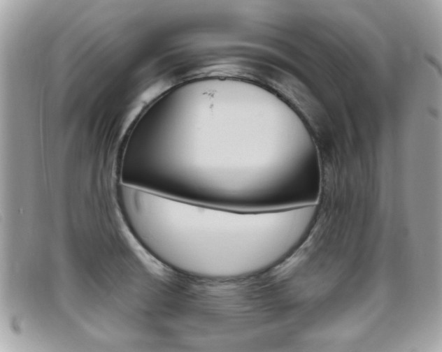 X0000095901426200801110755