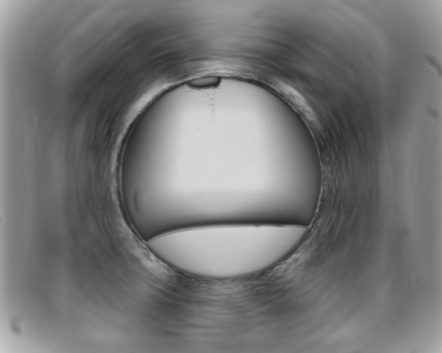 X0000095901427200801110755