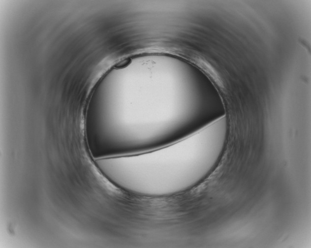 X0000095901428200801110755