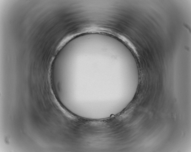 X0000095901429200801110755