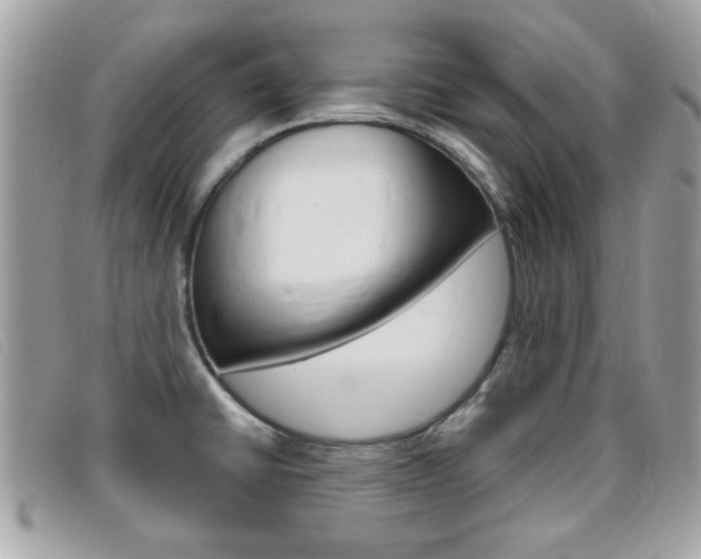 X0000095901430200801110755