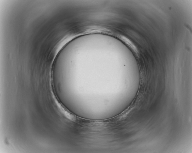 X0000095901431200801110755