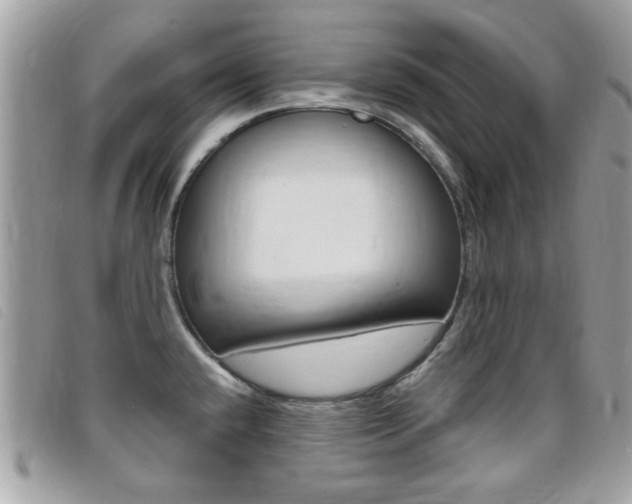 X0000095901432200801110755