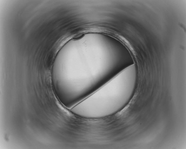 X0000095901433200801110755
