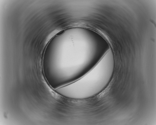 X0000095901434200801110755