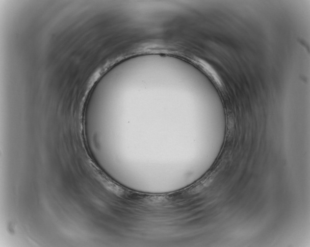 X0000095901435200801110755