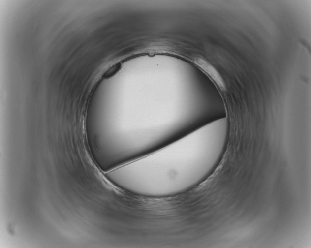 X0000095901436200801110755