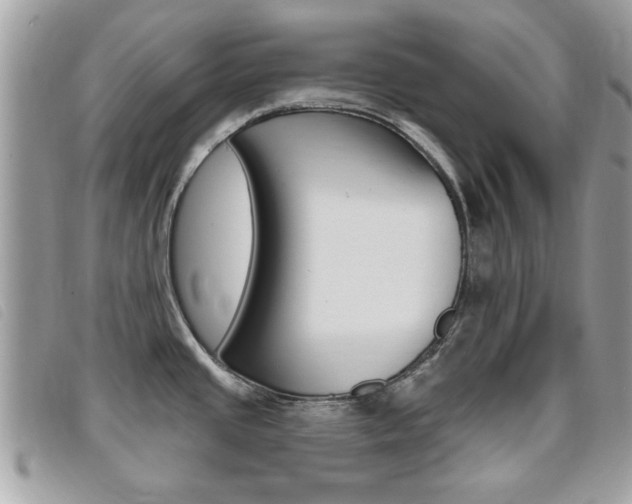 X0000095901437200801110755