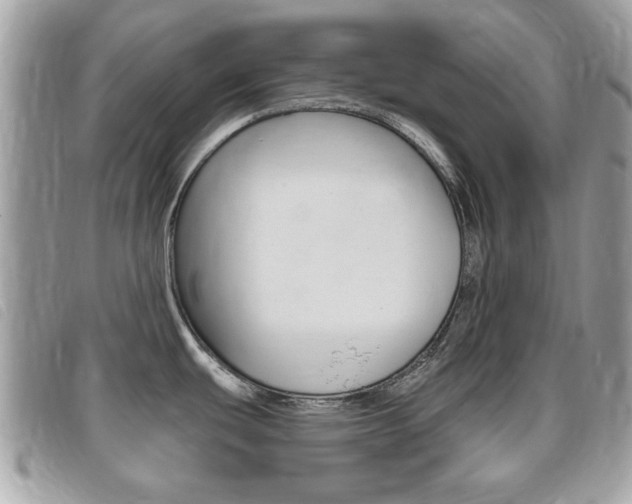 X0000095901439200801110755