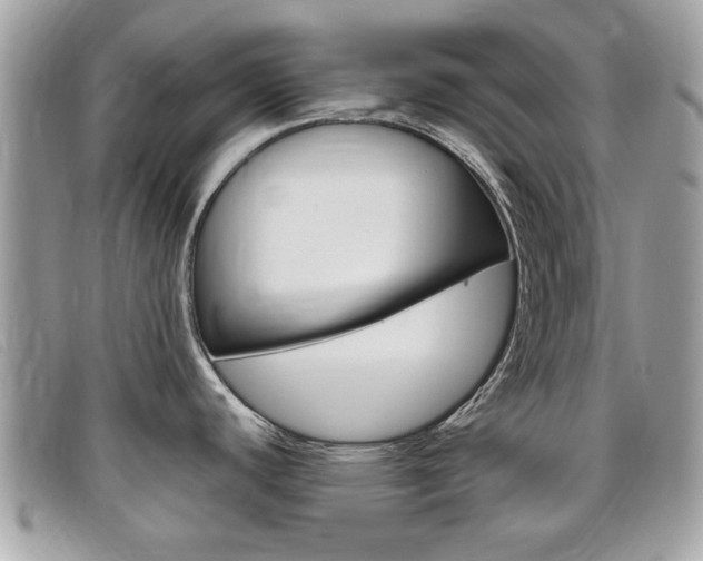 X0000095901440200801110755