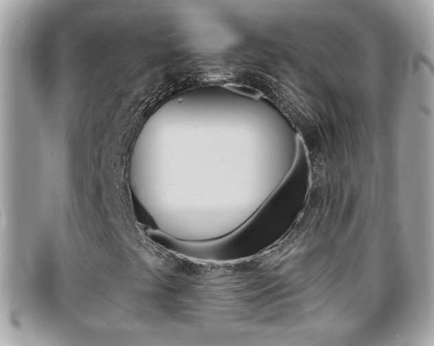 X0000095901441200801110754