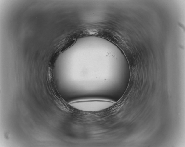 X0000095901442200801110754