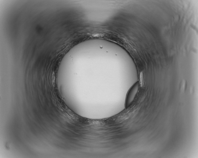 X0000095901443200801110754