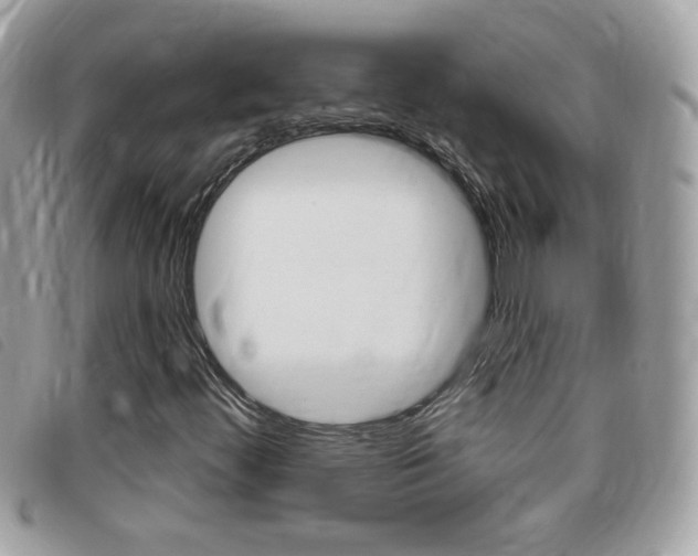 X0000095901444200801110754