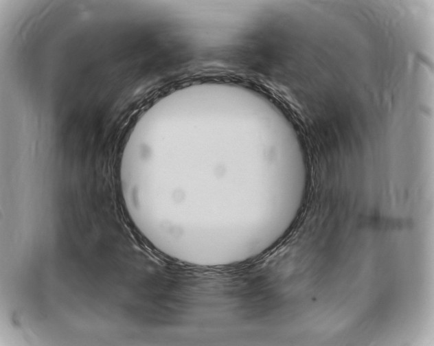 X0000095901445200801110754