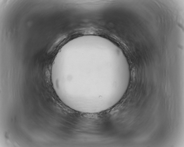X0000095901446200801110754