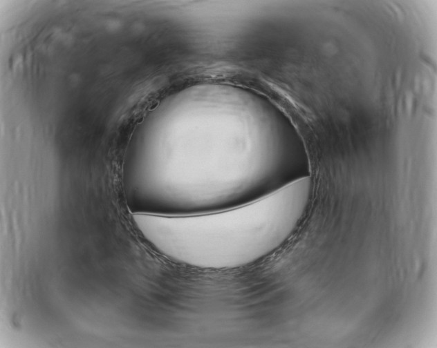 X0000095901447200801110754