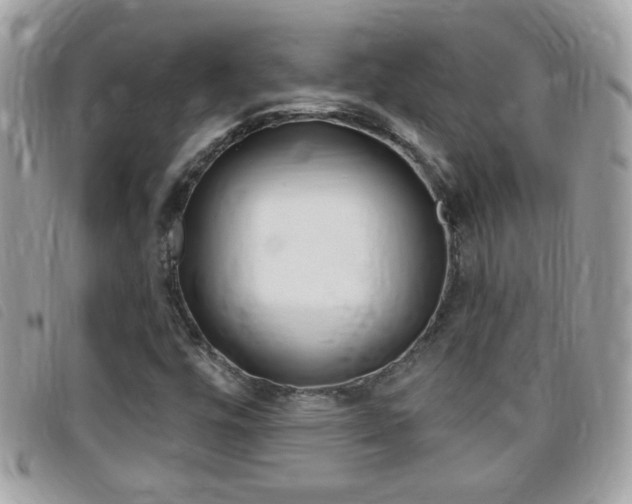 X0000095901448200801110754