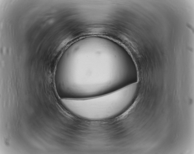 X0000095901449200801110754