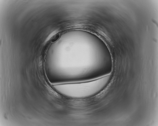 X0000095901450200801110754
