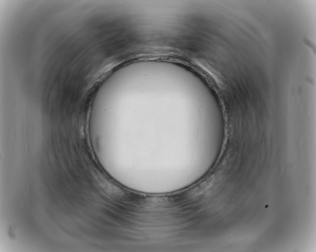 X0000095901451200801110754