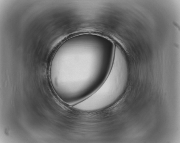 X0000095901452200801110754