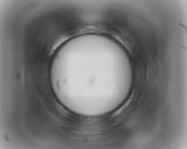 X0000095901453200801110754