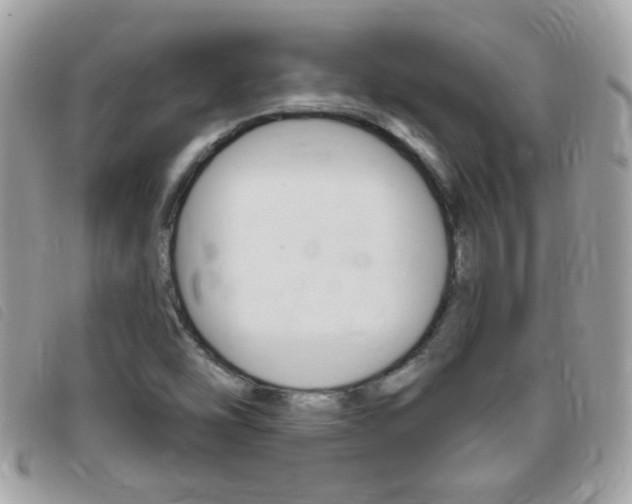 X0000095901454200801110754