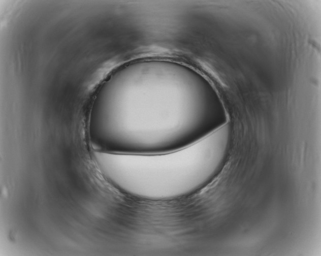 X0000095901455200801110754