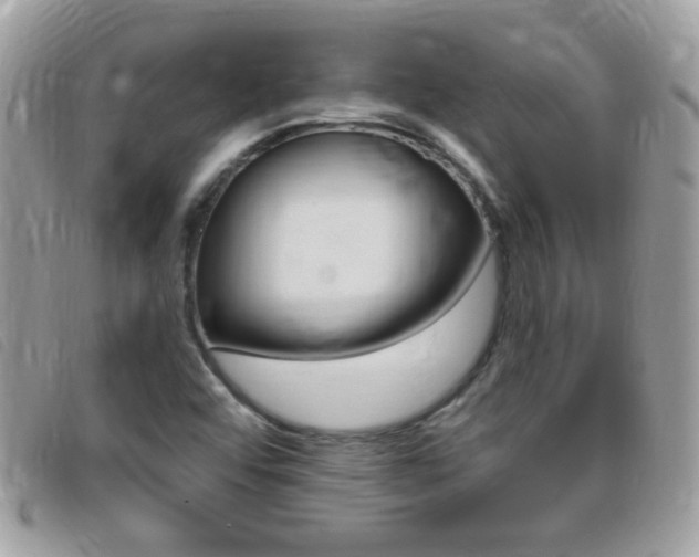 X0000095901456200801110754