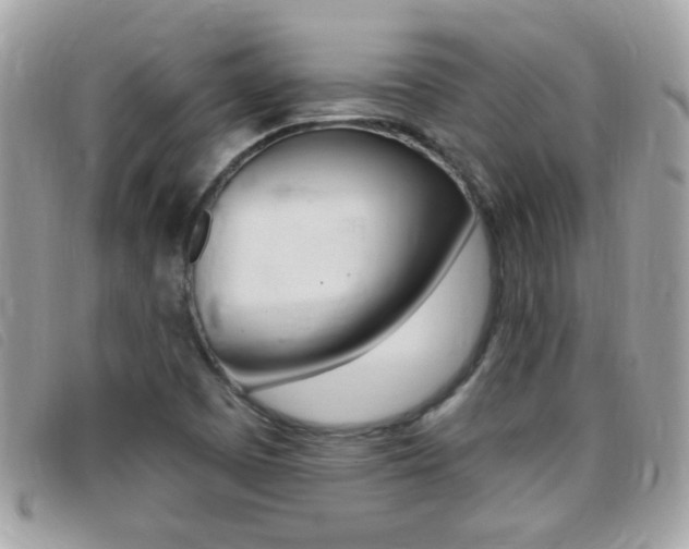 X0000095901457200801110754