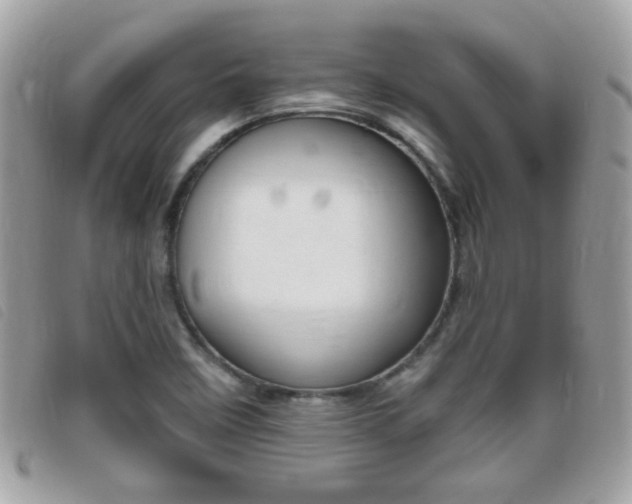 X0000095901458200801110754