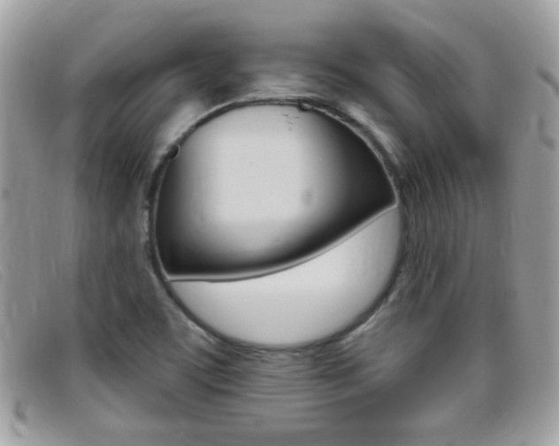 X0000095901459200801110754