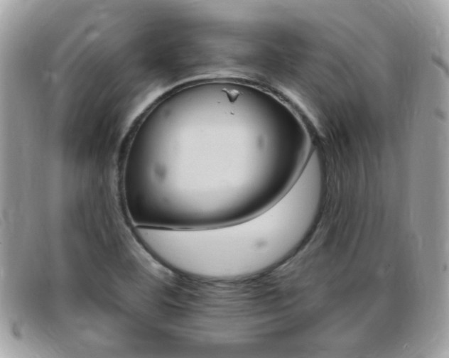 X0000095901460200801110754