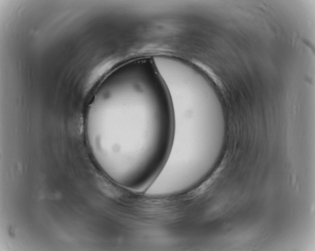 X0000095901461200801110754