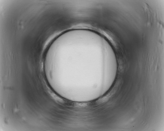 X0000095901462200801110754