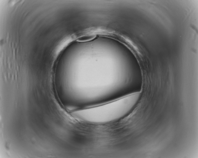 X0000095901463200801110754