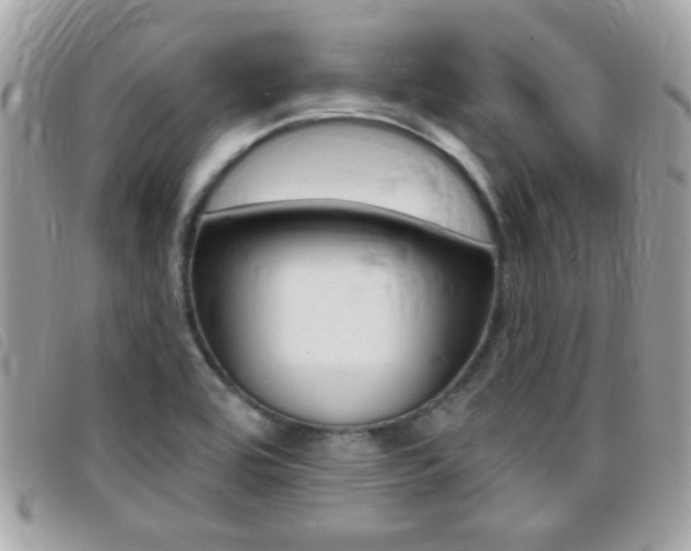 X0000095901464200801110754