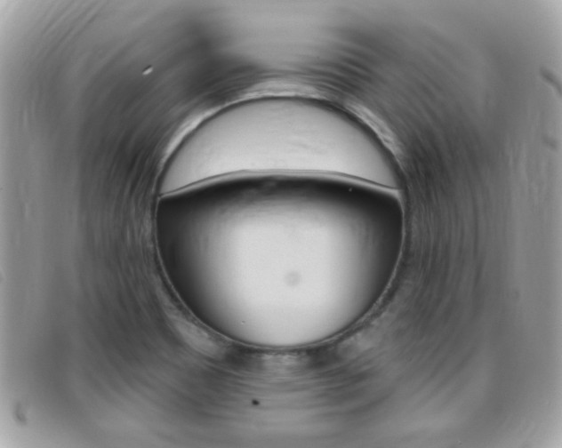 X0000095901465200801110754