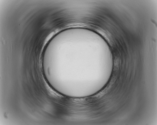 X0000095901466200801110754