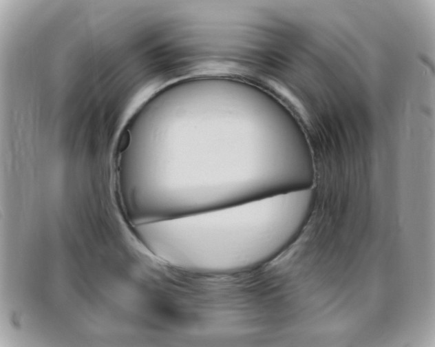 X0000095901467200801110754