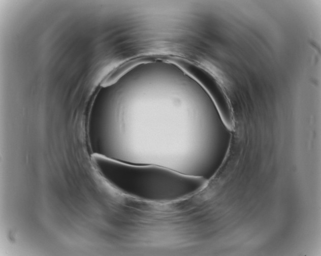 X0000095901468200801110754