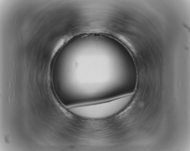X0000095901469200801110754