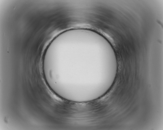 X0000095901470200801110754